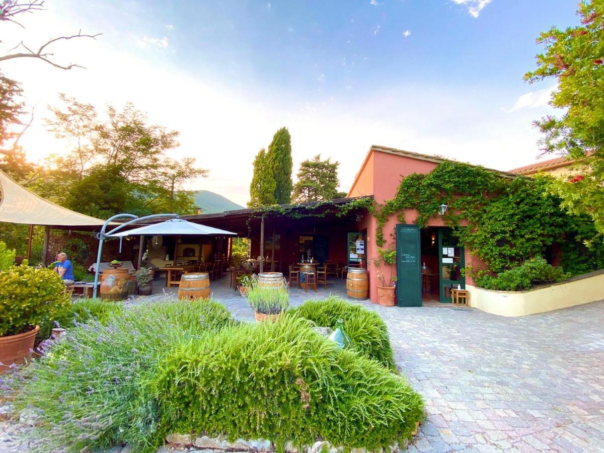 Agriturismo Terenzana Aparthotel Riparbella Εξωτερικό φωτογραφία