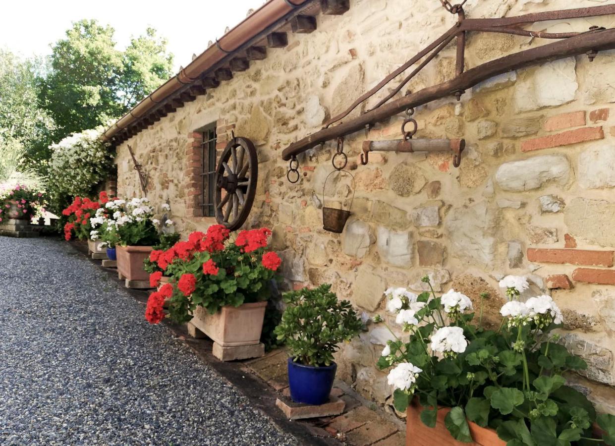 Agriturismo Terenzana Aparthotel Riparbella Εξωτερικό φωτογραφία