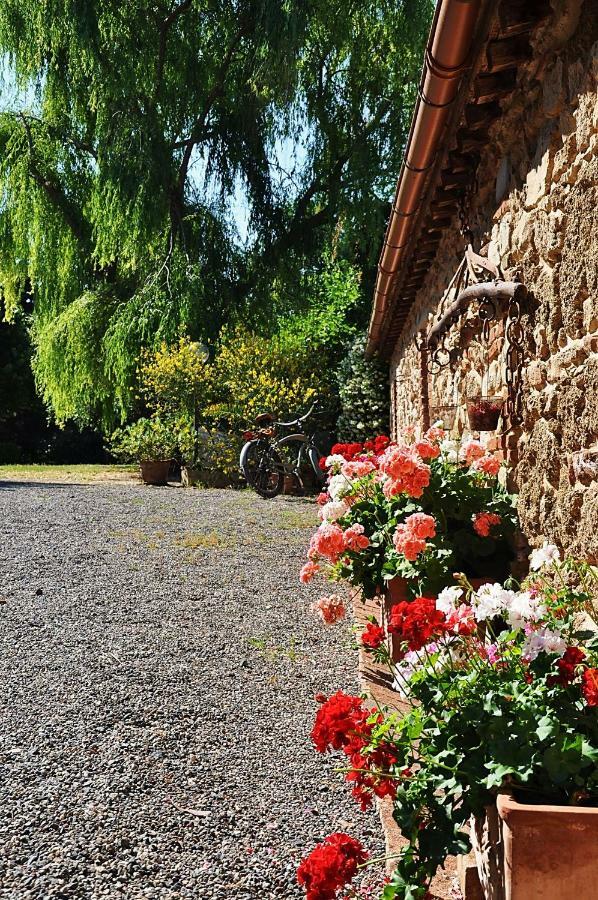 Agriturismo Terenzana Aparthotel Riparbella Εξωτερικό φωτογραφία