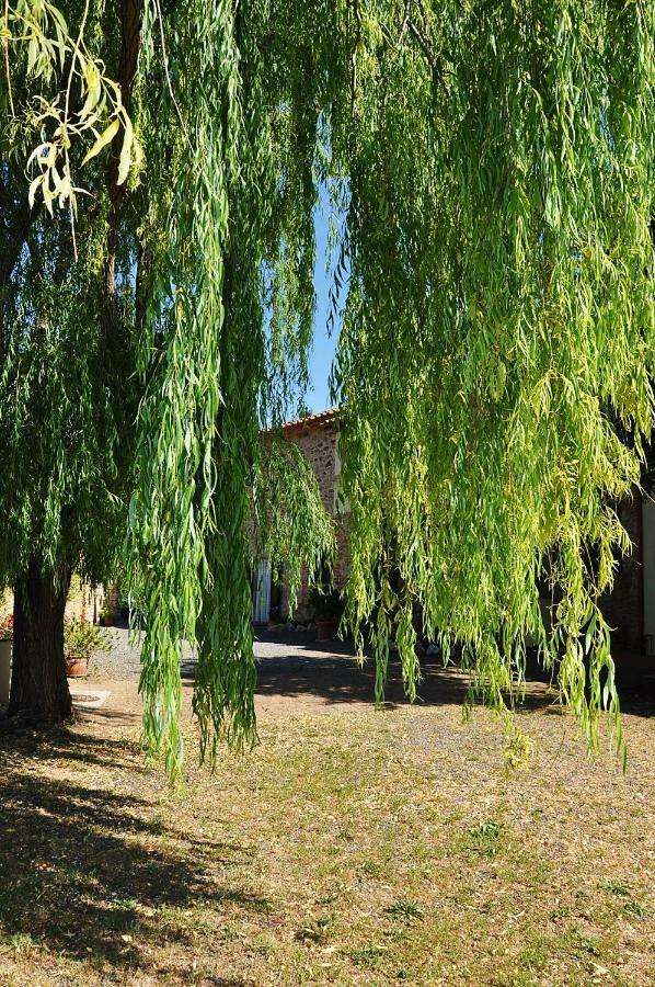 Agriturismo Terenzana Aparthotel Riparbella Εξωτερικό φωτογραφία